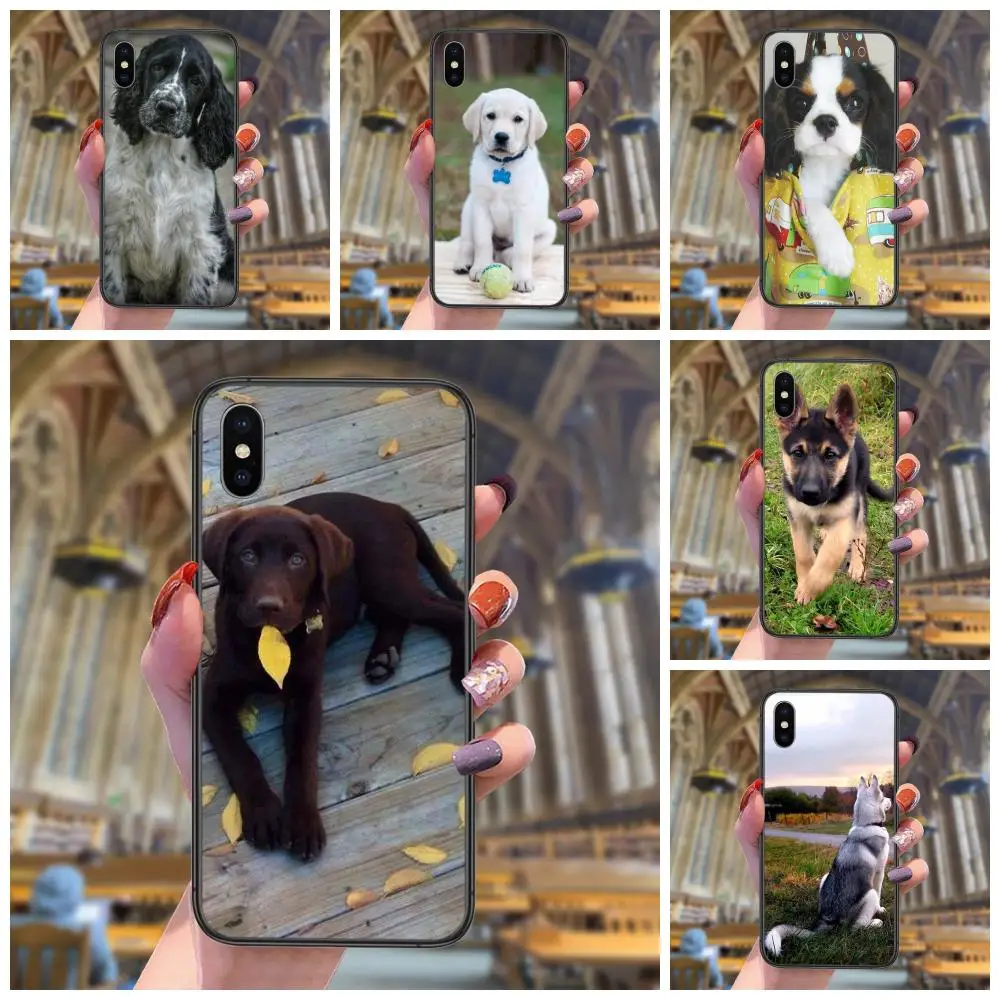

Dog Puppy Puppies Tpu Soft Black Phone Case For iPhone 13 12 11 Pro Max 6 X 8 6S 7 Plus XS XR Mini 5S SE 7P 6P Jeunesse