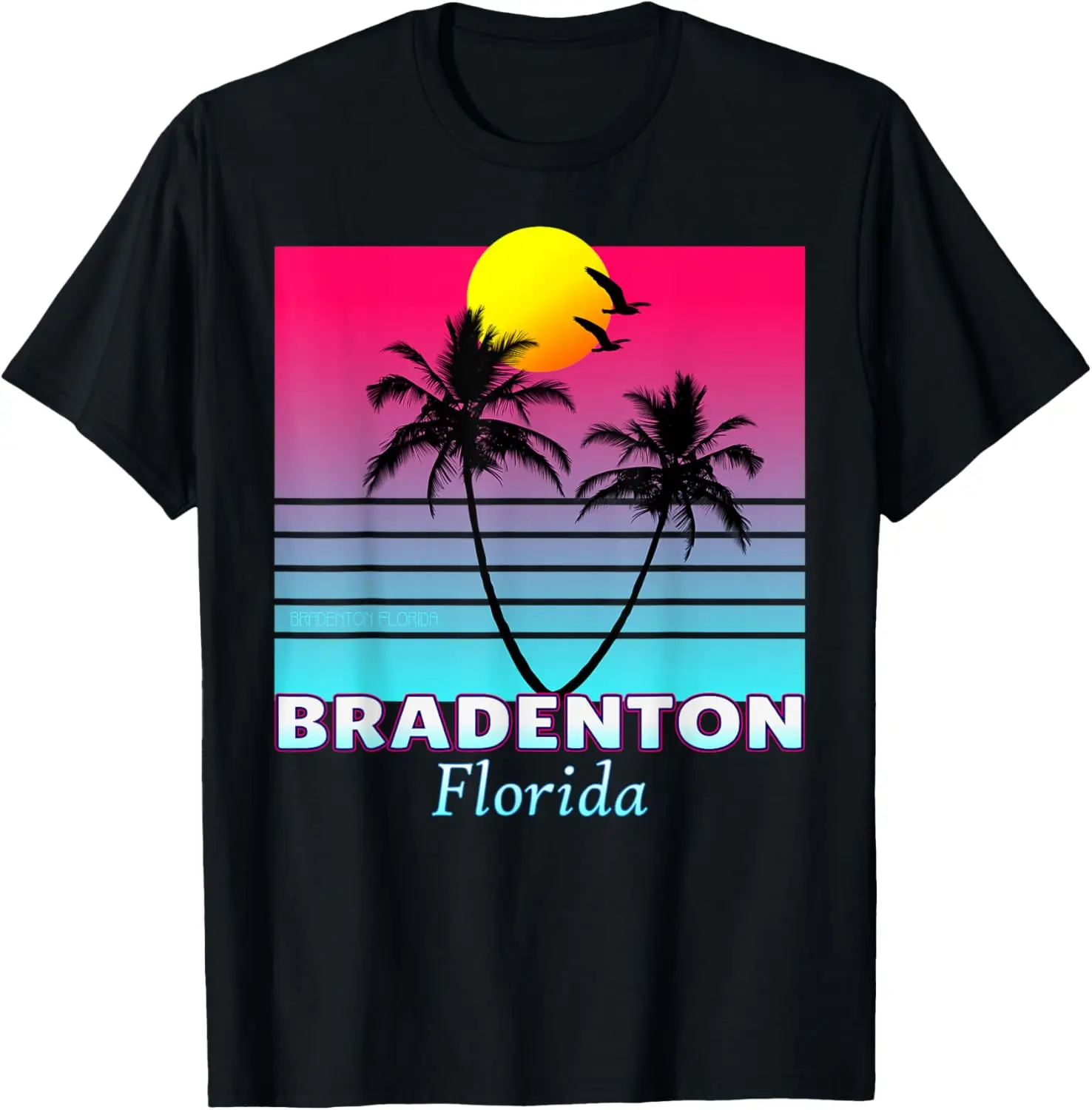 Футболка в стиле ретро Bradenton Florida