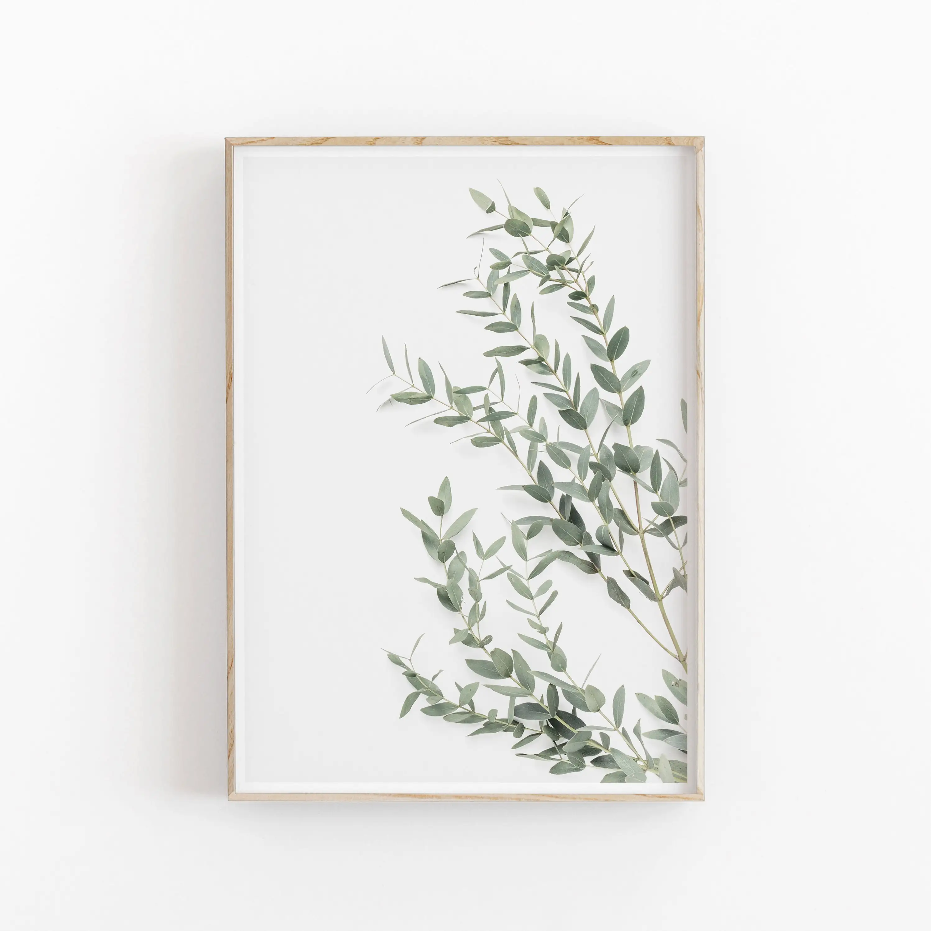 

Ботанический Постер на холсте Eucalyptus Palm Leaves