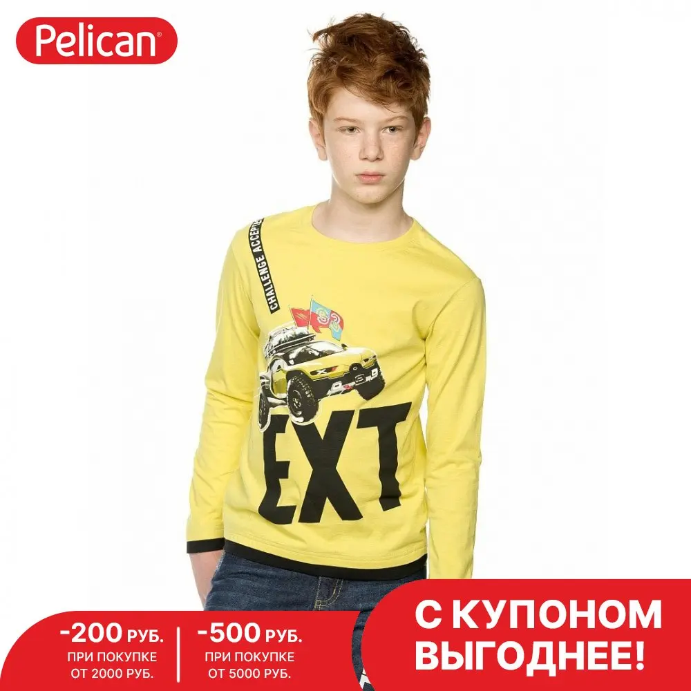 Джемпер для мальчиков 6-11 лет Pelican арт. BFJ4192 |