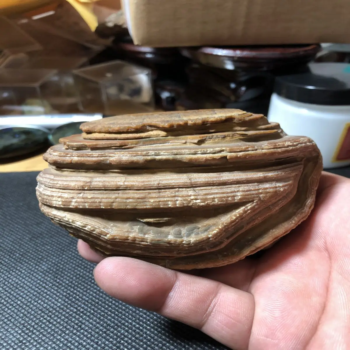 1Pcs Natural Crystal Raw Stone Boutique Agate Water Flush Stone Naturally Formed Decorative Pieces