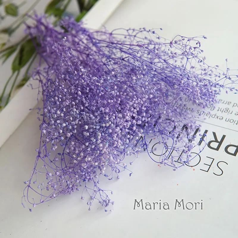 

Мини сухоцветы "Детское дыхание"