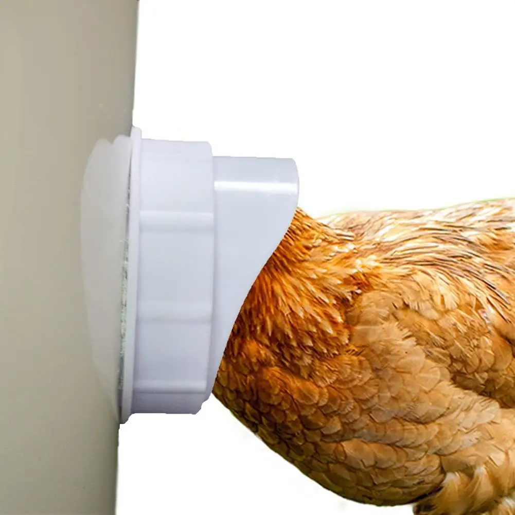 «Poultry Chicken Feeder Chicken and Duck Feeder DIY Poultry Feeding Kit