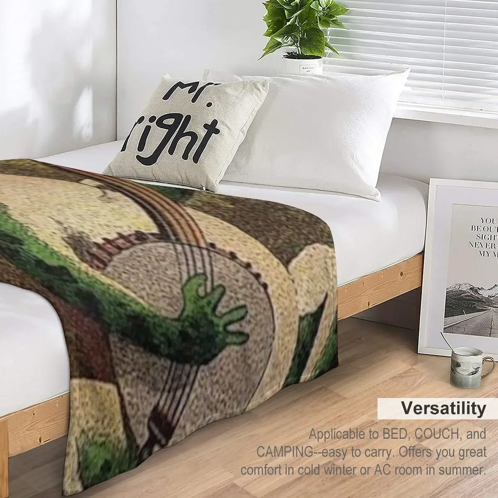 Лягушка С БАНЖО ВИНТАЖНАЯ ИЛЮСТРАЦИЯ - Декоративное одеяло ARTIST UNKNOWN