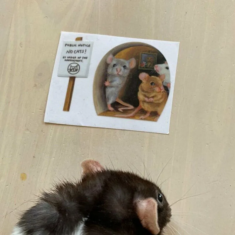 Настенные Стикеры с крысиными отверстиями Симпатичные бумажные кухонные мини