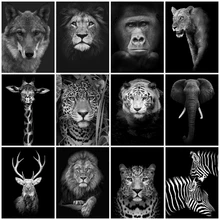 DIYDP 5D DIY Diamond Painting Black and White Animal Full Square/Round Diamond Embroidery Cross Stitch Kits Handmade Art Decor