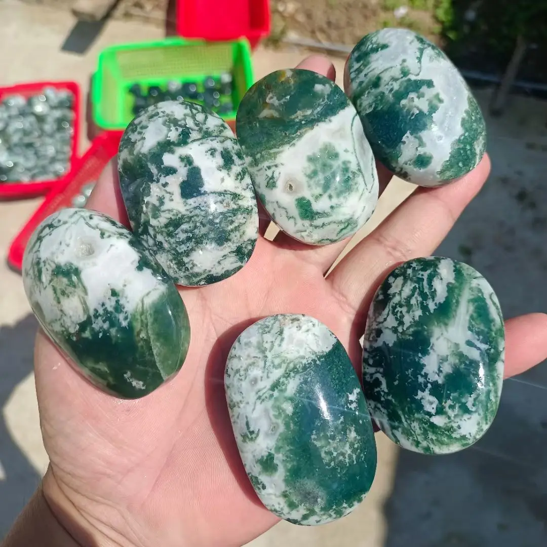 

100% Natural stone Polished Aquatic Plants Agate Crystal Madagascar Gift Energy Reiki Healing Mineral Specimen Collection 1pcs