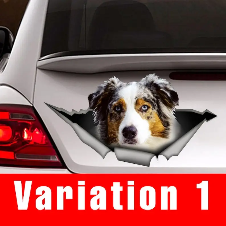 

Australian Shepherd car decal, Aussie decal, car decoration, pet decal