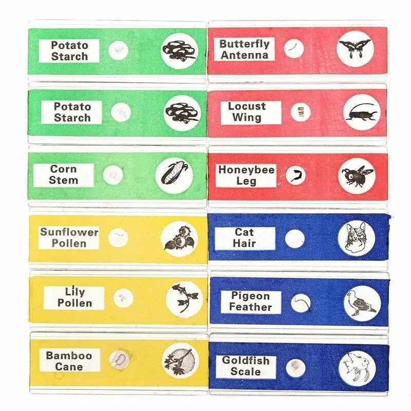 Пластиковые предметные стекла для микроскопа, набор из 12/48 штук тетради предметные academy style neo memphis 48 листов 10 штук