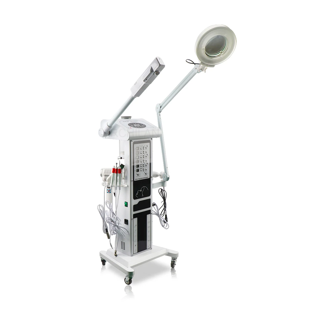 

Professional Salon Spa Ionic Facial Steamer Beauty Equipment Skin Care Ozone