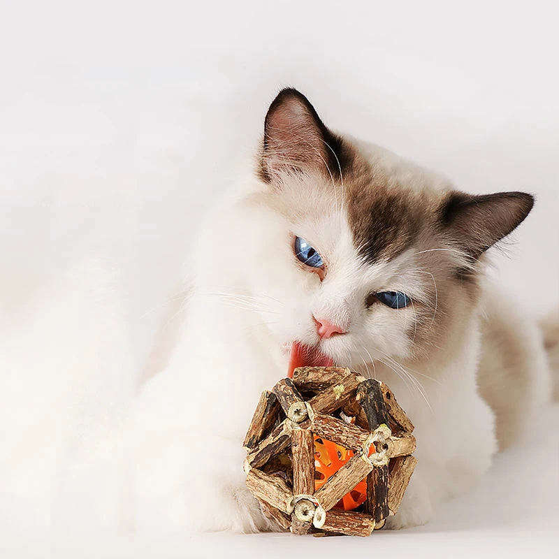 

2 Pcs Natural Mint Balls Cat Teething Toy Funny Cat Toy Cat Mint Bell Help Cats Digest Remove Bad Breath Cat Toys Plant Material