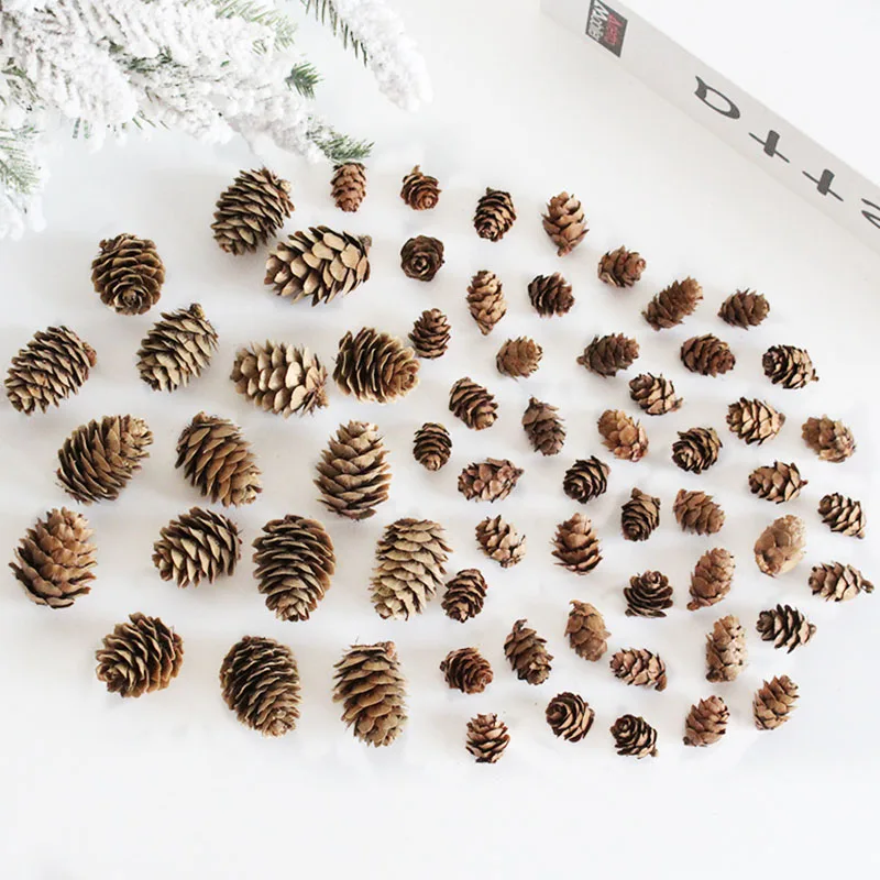 50pcs of Dried pinecone Natural Autum Wedding Birthday Christmas Thanksgiving Decoration Event DIY party decor Home garden deco