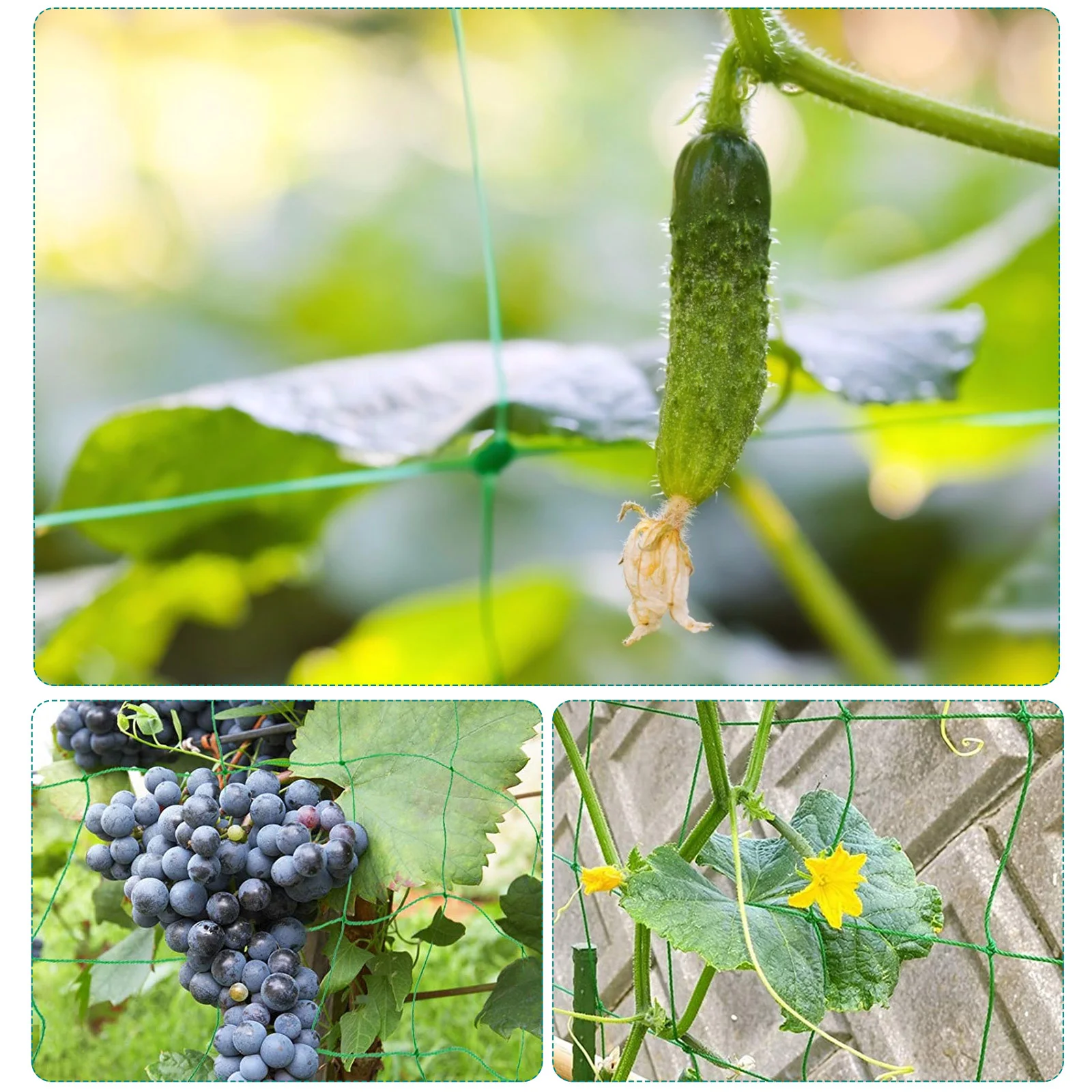 

Сетка-решетка, легкая сетка для восхождения, для овощей, жимолости