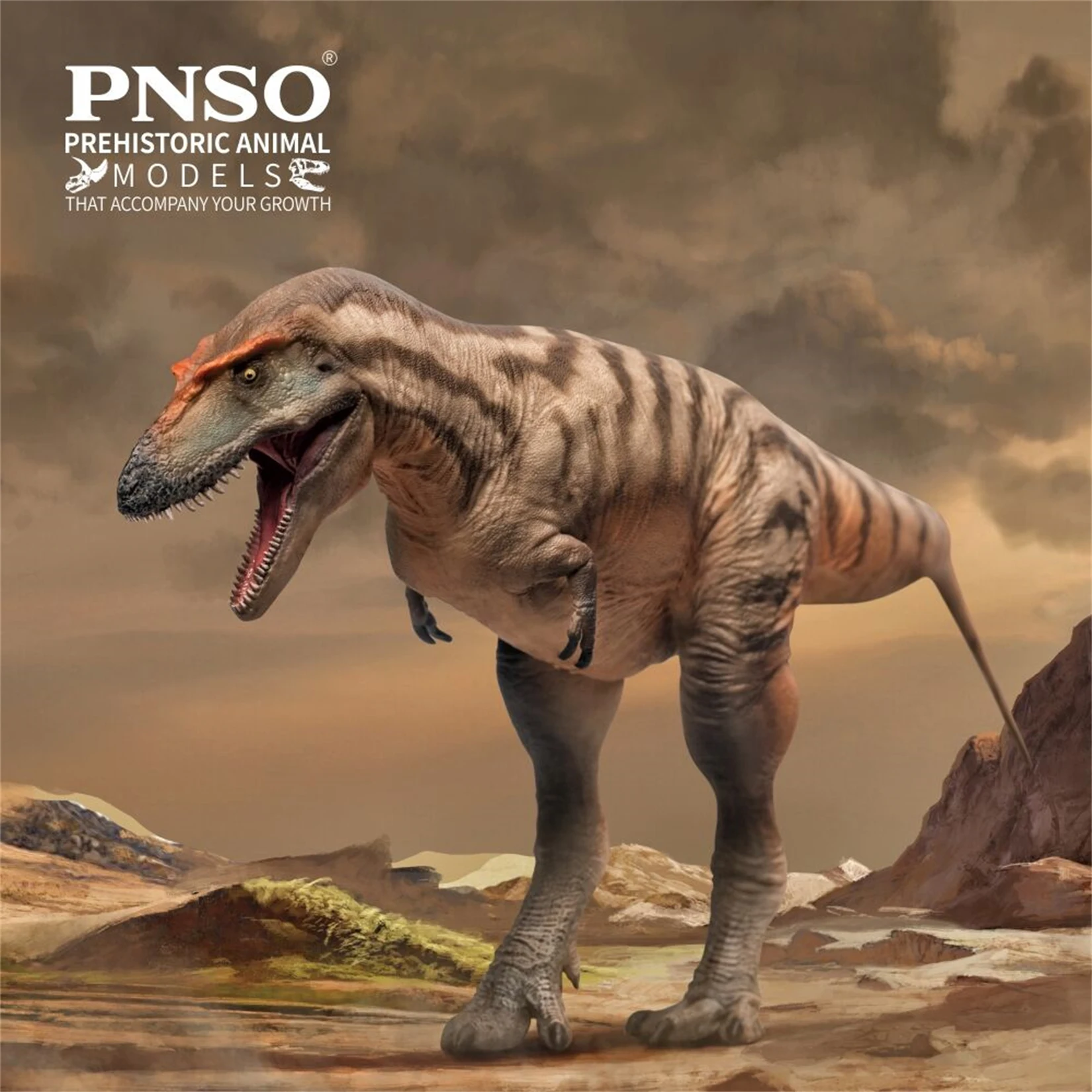 Фото PNSO 71 Gorgosaurus модель Тристана тираннозавр доисторические животные наука динозавр Коллекция Декор подарок Детская развивающая игрушка №1