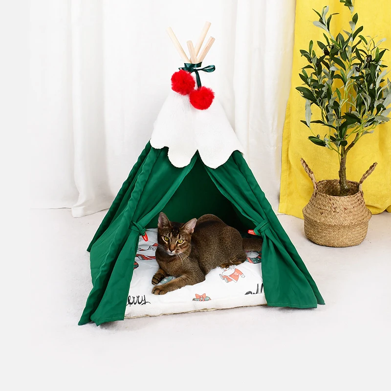 알리파파의 가성비 알리 제품 추천 4964 2