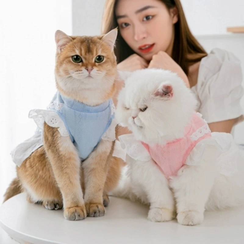 Платье принцессы с маленьким котенком на весну и осень марионетка голубая кошка