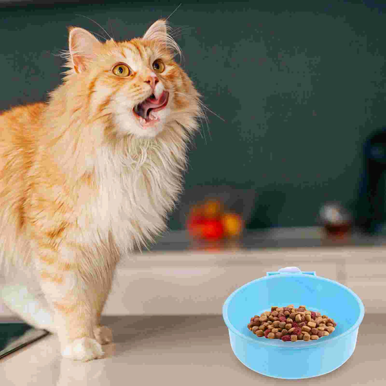 

Bowl Dog Water Crate Bowls Pet Heated Rabbit Hanging Bottle Dispenser Large Dogs Guinea Feed Spill Bunny Cup Kennel Steel