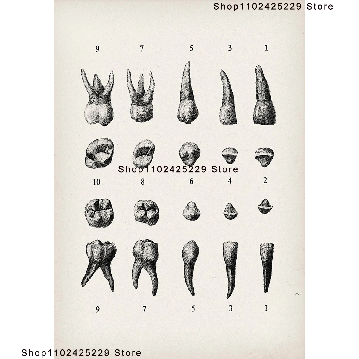 

Плакаты для стоматологии, современный стиль