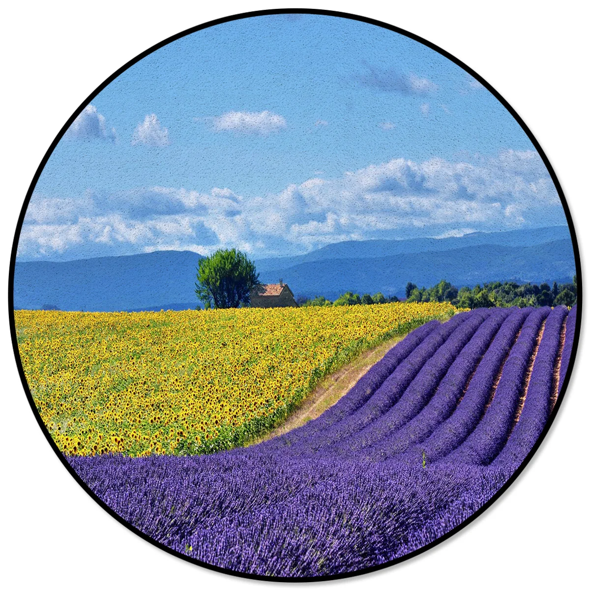 

Lavender Sunflower Field White Clouds Rugs And Carpets For Home Living Room Floor Mat In The Room Room Decoration Teenager