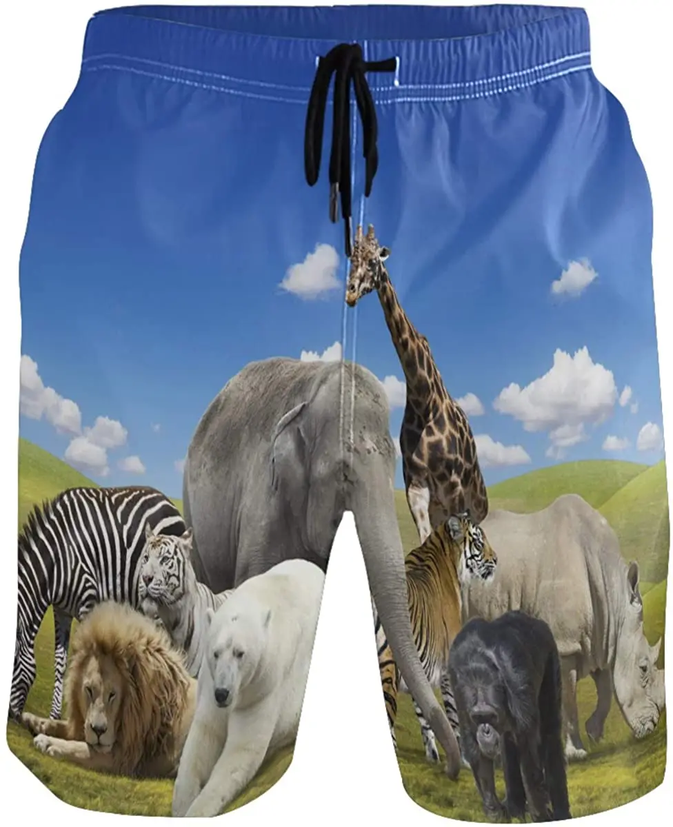 Шорты мужские с карманами быстросохнущие плавательные трусы животными львами