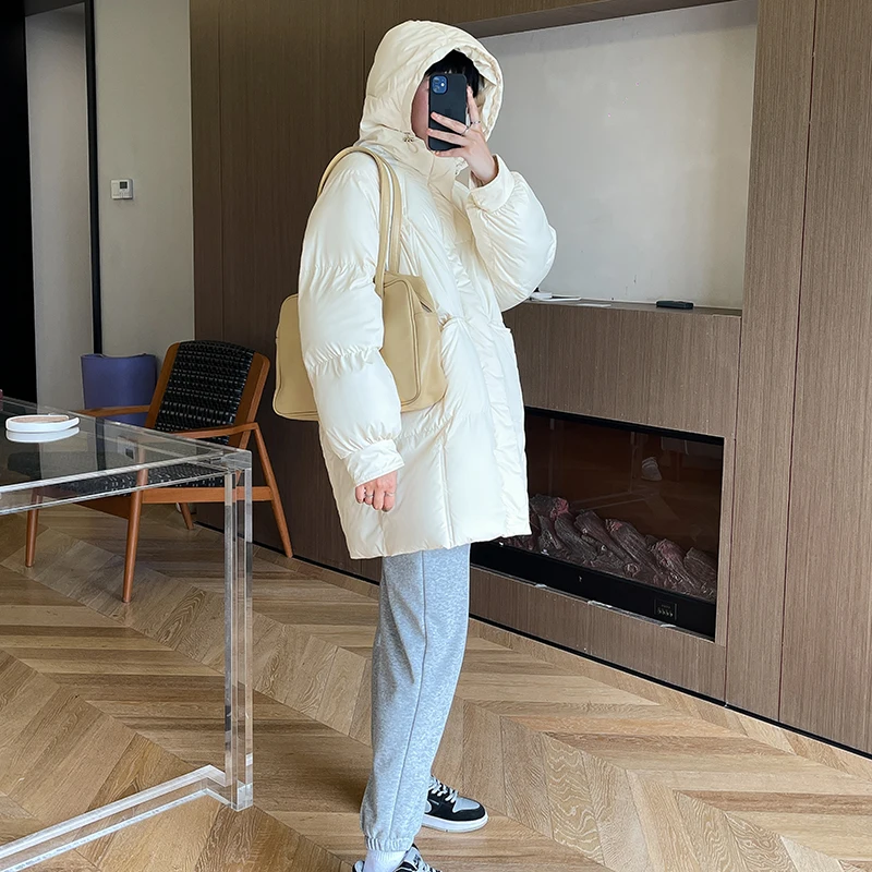 2021 Autumn and Winter New Fashion Hooded Long Sleeve Thickening Age Reduction Korean Version Loose Mid-length Female Trend
