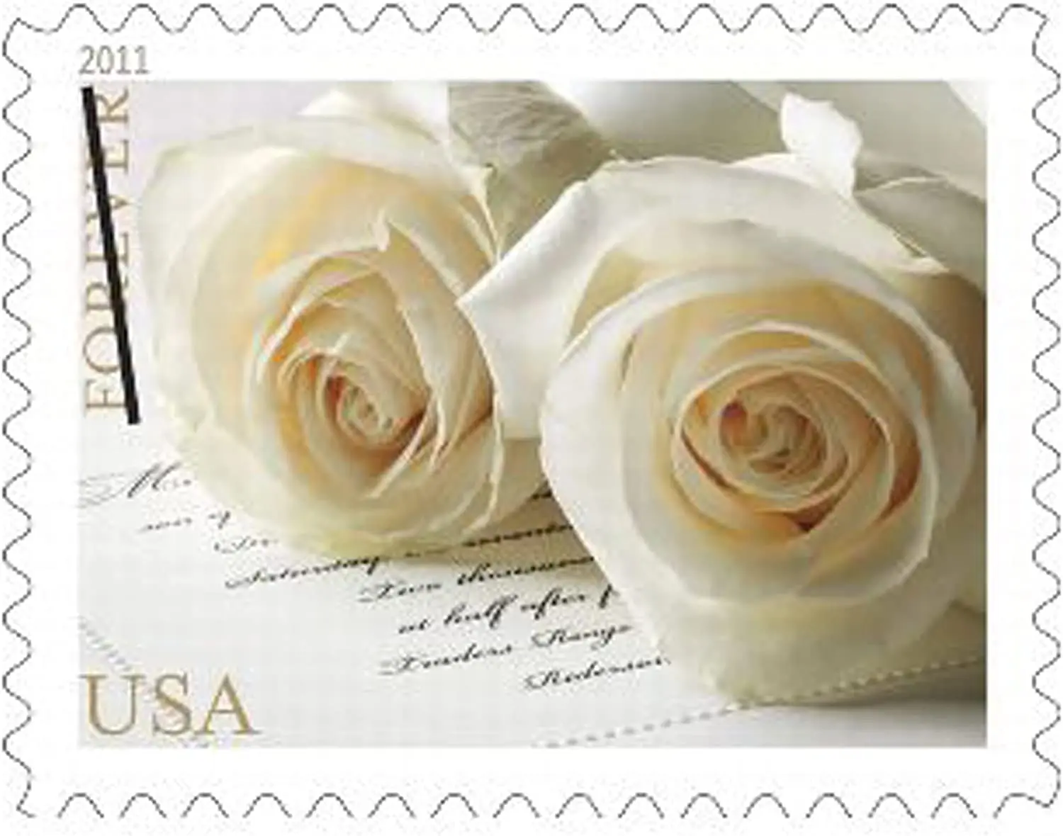 

Памятные Свадебные розы, 20 шт./компл. Новинка