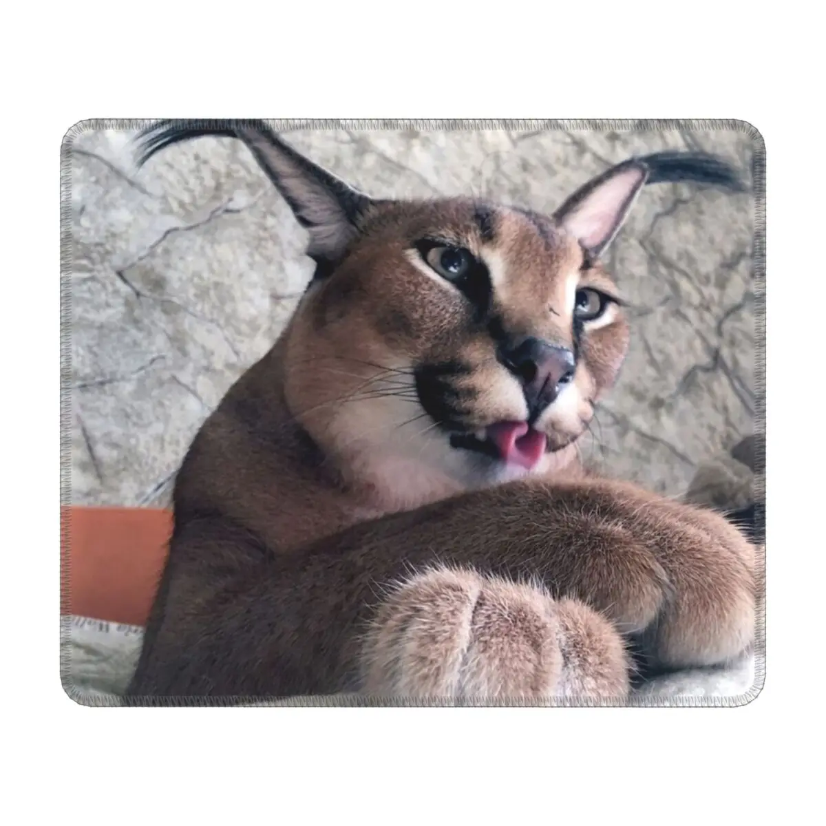 Коврик для мыши с милым каракальным котом водонепроницаемый игровой коврик