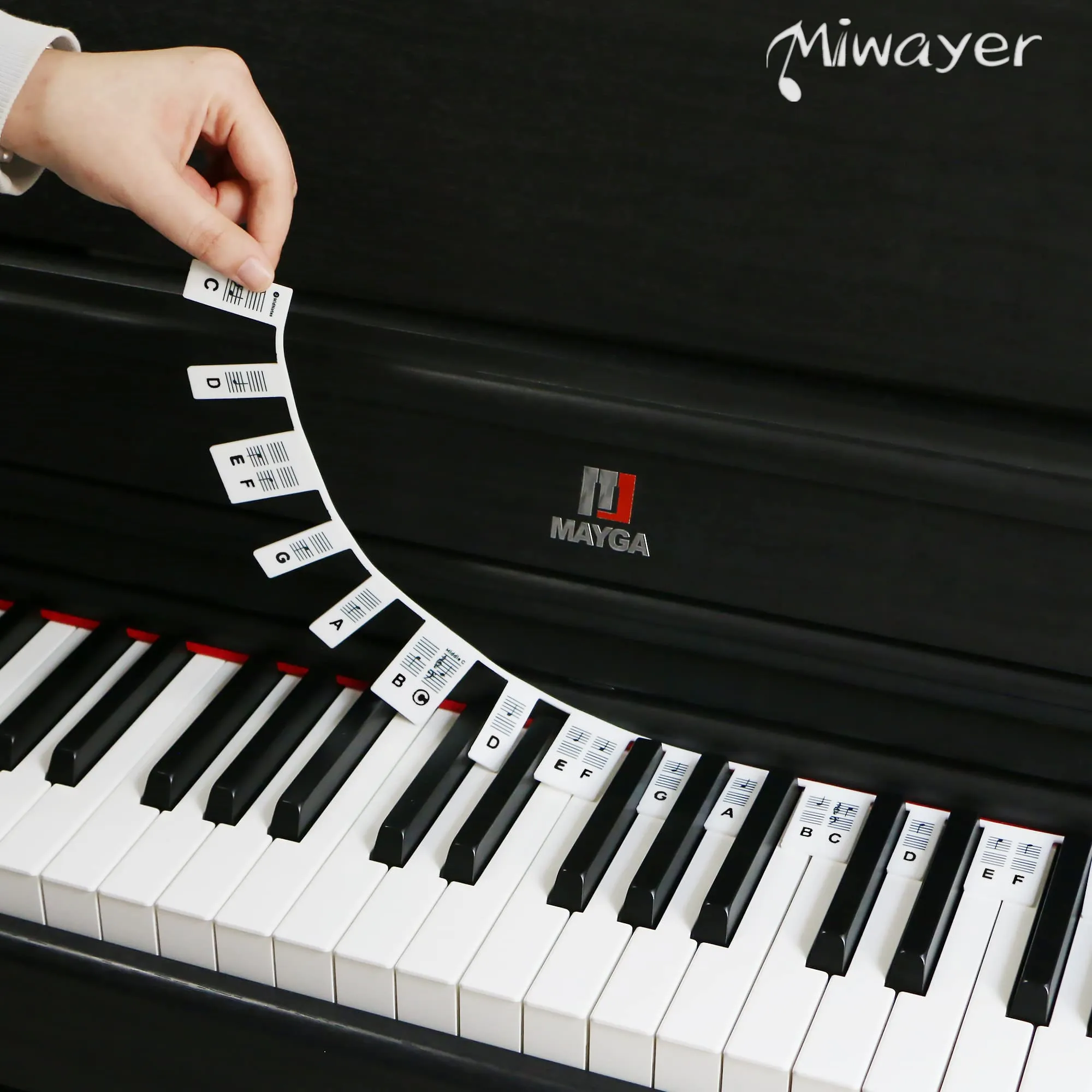 Miwayer Removable Piano Keyboard Labels Silicone Piano Notes Guide for Beginner,  88-Key Full Size, Reusable and Comes with Box
