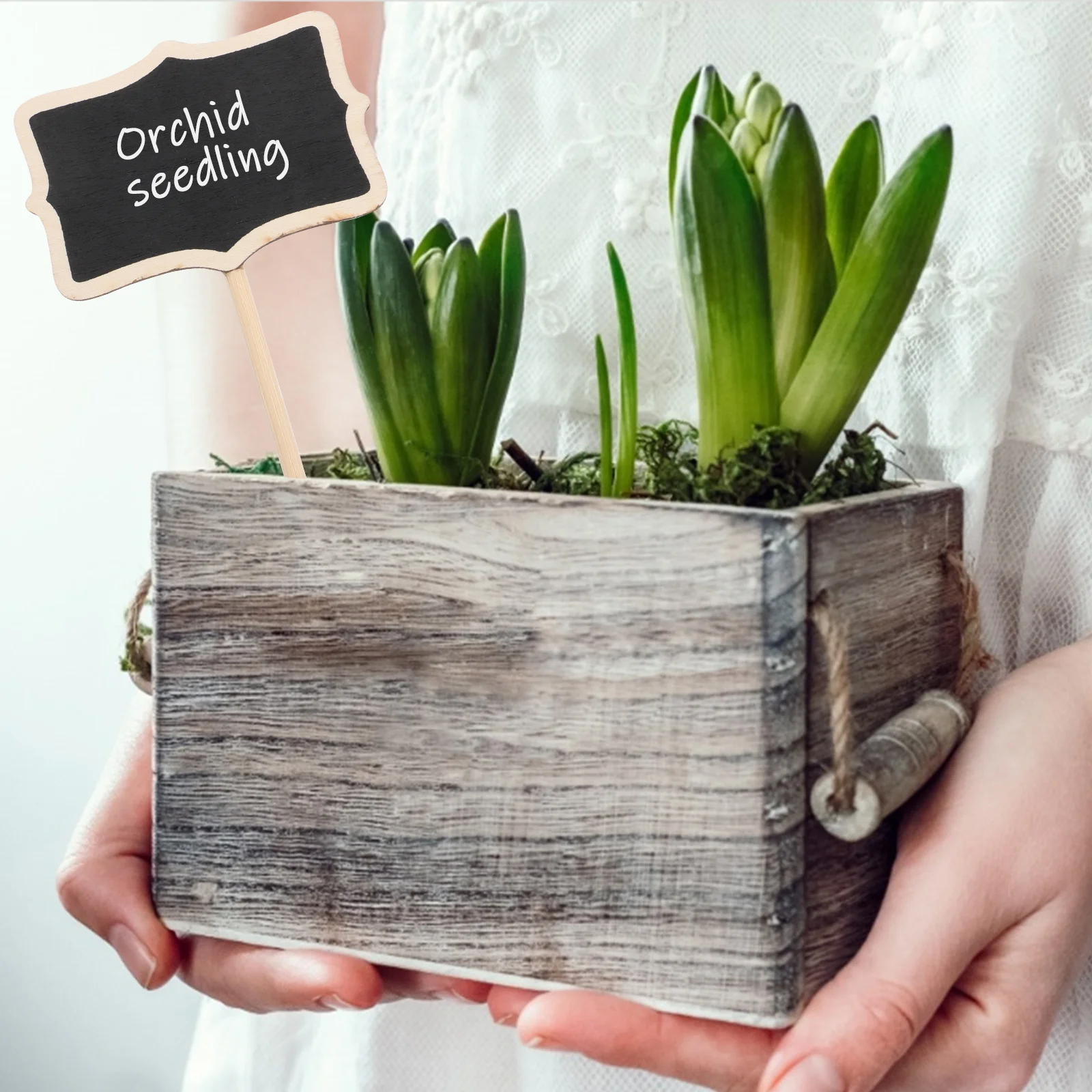 

10Pcs Labels Blackboard Wood Garden Tags Sign Tags Nursery Marker for Flower Vegetable ( Black )