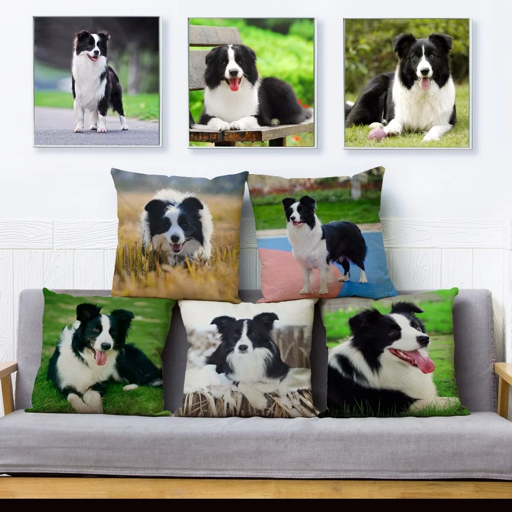 

Cute Scotland Border Collie Dog Print Throw Pillow Cover 45*45 Textile Cushion Covers Linen Pillows Cases Home Decor Pillow Case