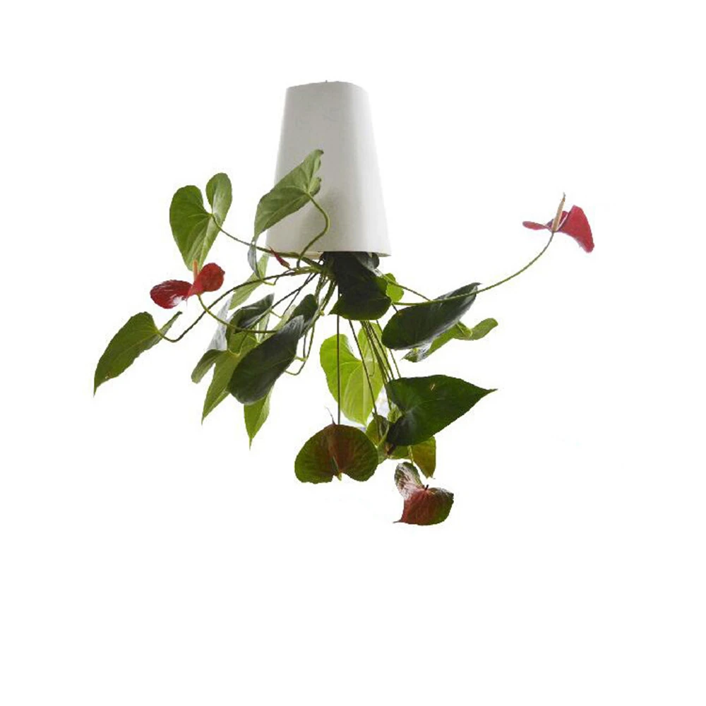 Hanging Flowerpot Breathable Purify Air Not Easy To Deform Can Be Inverted Corrosion Resistant Plant Bonsai Self-watering Hang