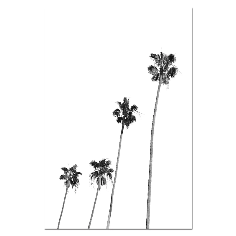 

Черно-белые пальмы, настенная печать на холсте