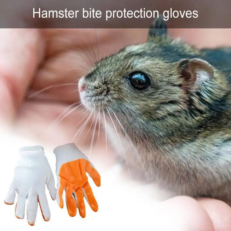 

Small Pets Biteproof Gloves Smashproof Hand Protection Gloves Anti Bite From Hamster Rabbit Chinchillas Guinea Pigs