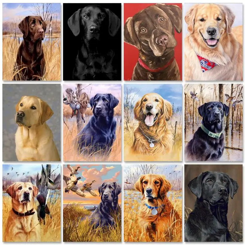 

GATYZTORY Dog 40x50cm Painting by Numbers DIY Picture Paint Oil Handpainted for Adults Handicraft Handiwork Art