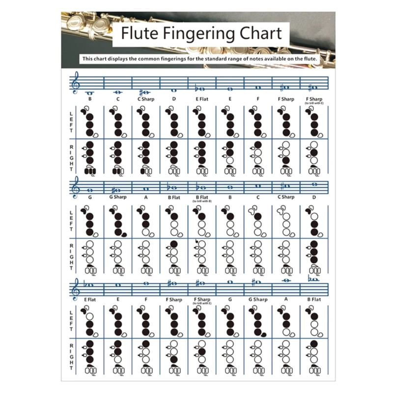 

Guitar Beginners Tainning Flute Chord Chart for Teaching or Group Study