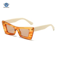 teenyoun 2022 new color cat eye sunglasses fashion brand of uv400 ins same glasses popular sun glasses