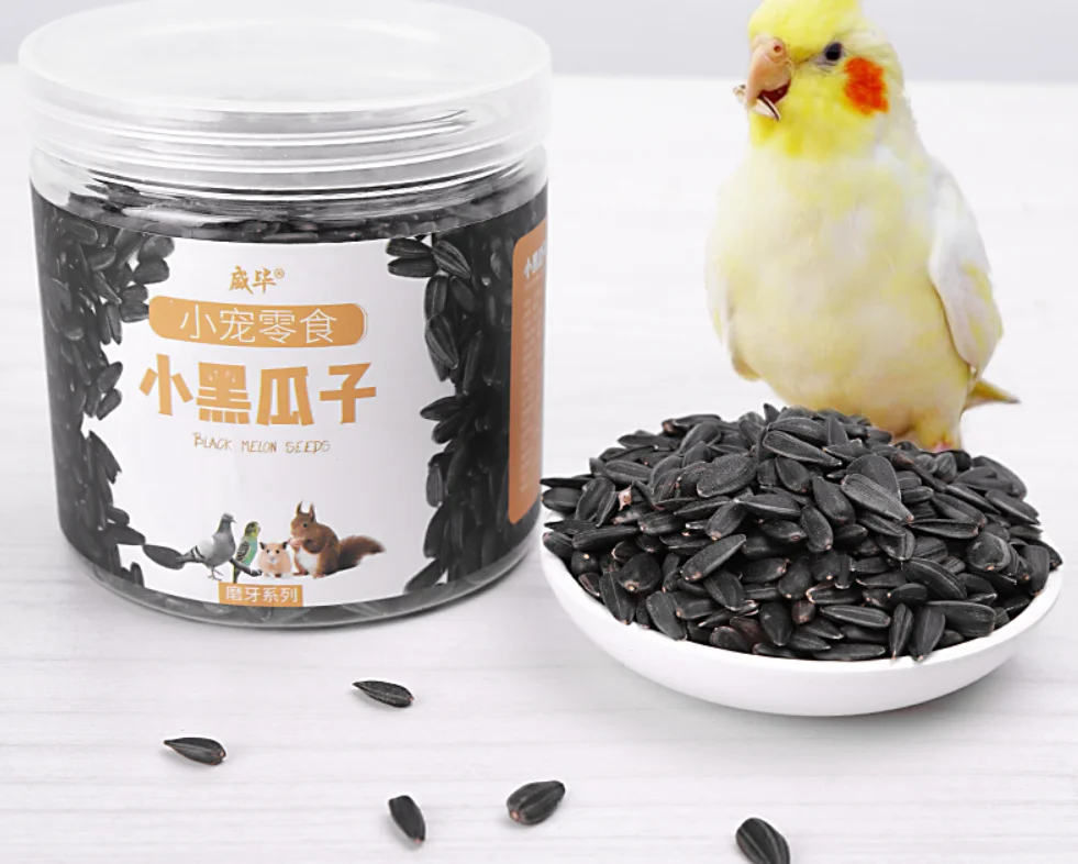Snacks Training Reward Food Black Pearl Oil Sunflower Small Melon Seeds Bird Food