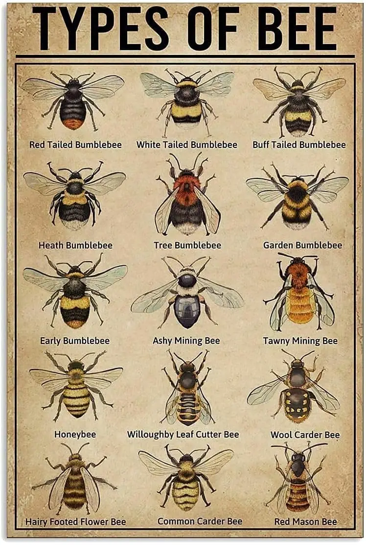 15 типов Bee Retro Grden Metl Tn Sgn Ktchen Resturnt Frm Shoppng Mll Br Cfe Mn Cve Wll Decorton ron Pntng Plte 8x12n