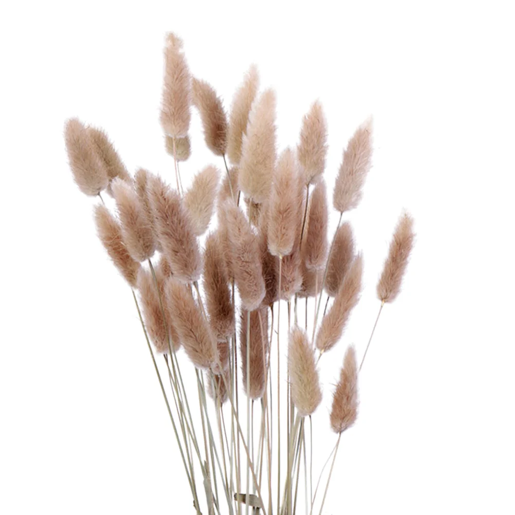 

Pampas Dried Wheat Flower Reed Fake Rabbit Plume Decor Arrangement Floral Whisk Horsetail Faux Branches Tail Plumes Stems