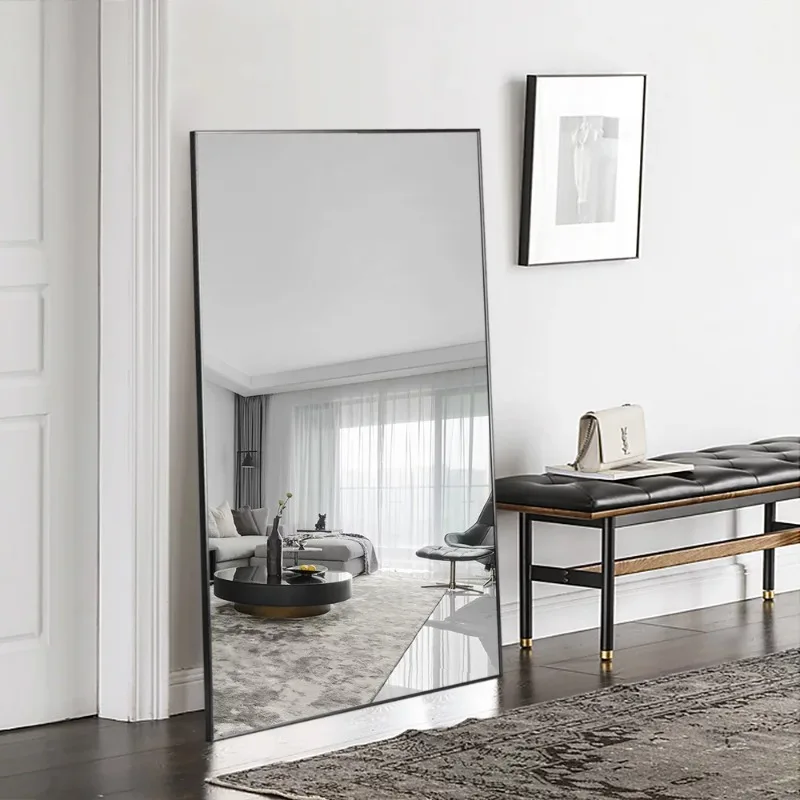 

NeuType 59"x35" Black Modern Full Length Mirror