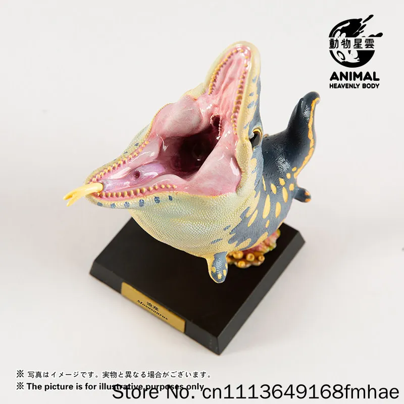 Фото Модель бюста мозазавра Animal Heavenly Body, серия «Палеонтология доисторических морских рептилий», пятая серия, для взрослых коллекционеров, подарок №2