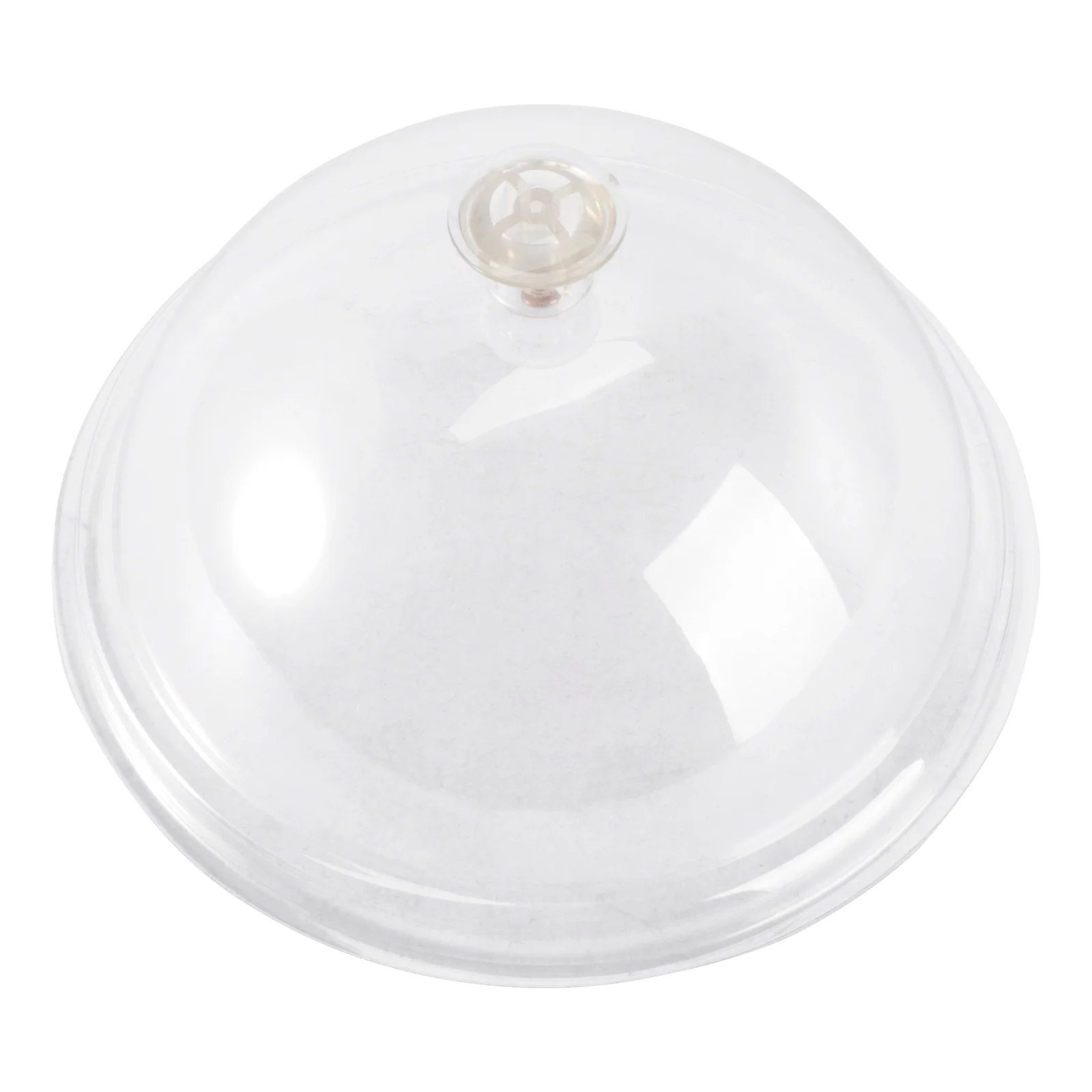 

Cover Cake Domeacrylic Cloche Round Dessert Clear Cheese Covers Plate Butter Display Stand Outside Tentfly Platter