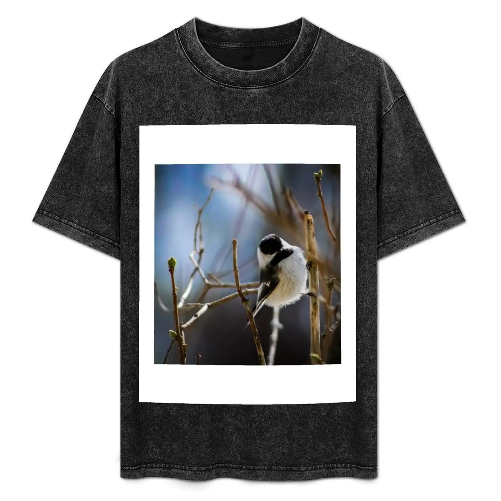 Мужская футболка Black Capped Chickadee on a Branch хлопковая