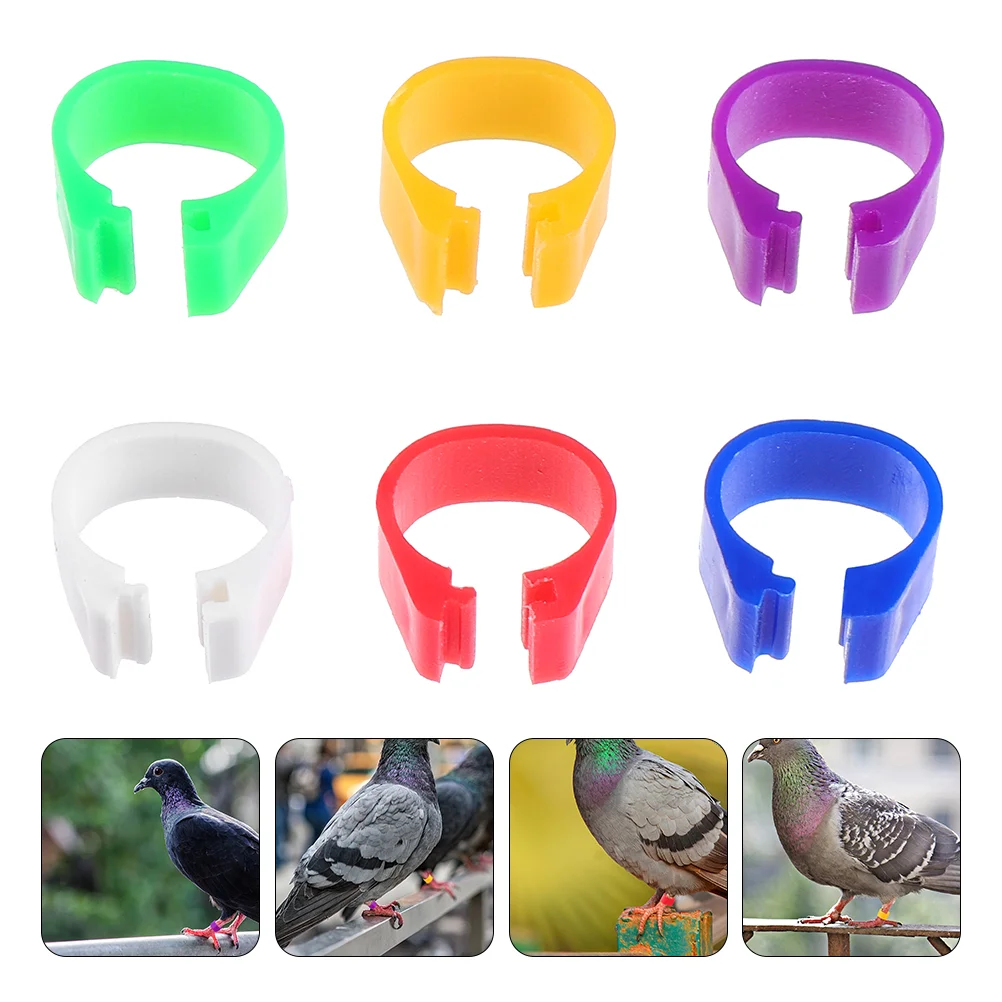 

100 Pcs Pigeon Foot Ring The Bands Clip Leg Bird Rings Identification Tape Dove Plastic Poultry