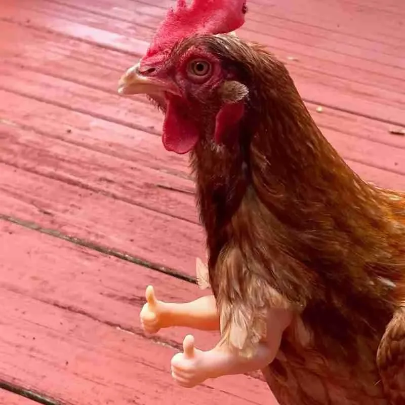 

Arms for Chicken Toy Gift Wearing Artificial Chicken Arms Props Pet Themed Party Funny Bird Decor Pet Supplies