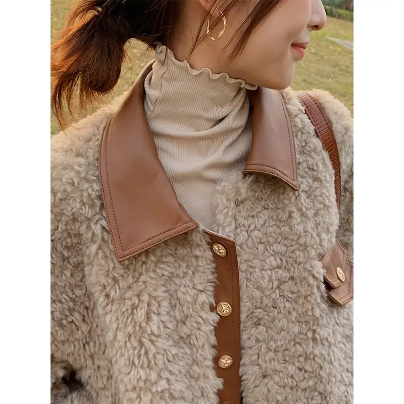 

2022 Faux Lamb Wool Coat Women Autumn and Winter Thick Fur Plush Clothes Loose Long Sleeve Fluffy Fur Warm Female Coats D34