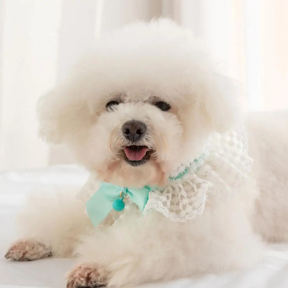 Bow Necklace Fashionable Costume Smell-less Kitten Puppy Collar for Outdoor Bowknot Pet |