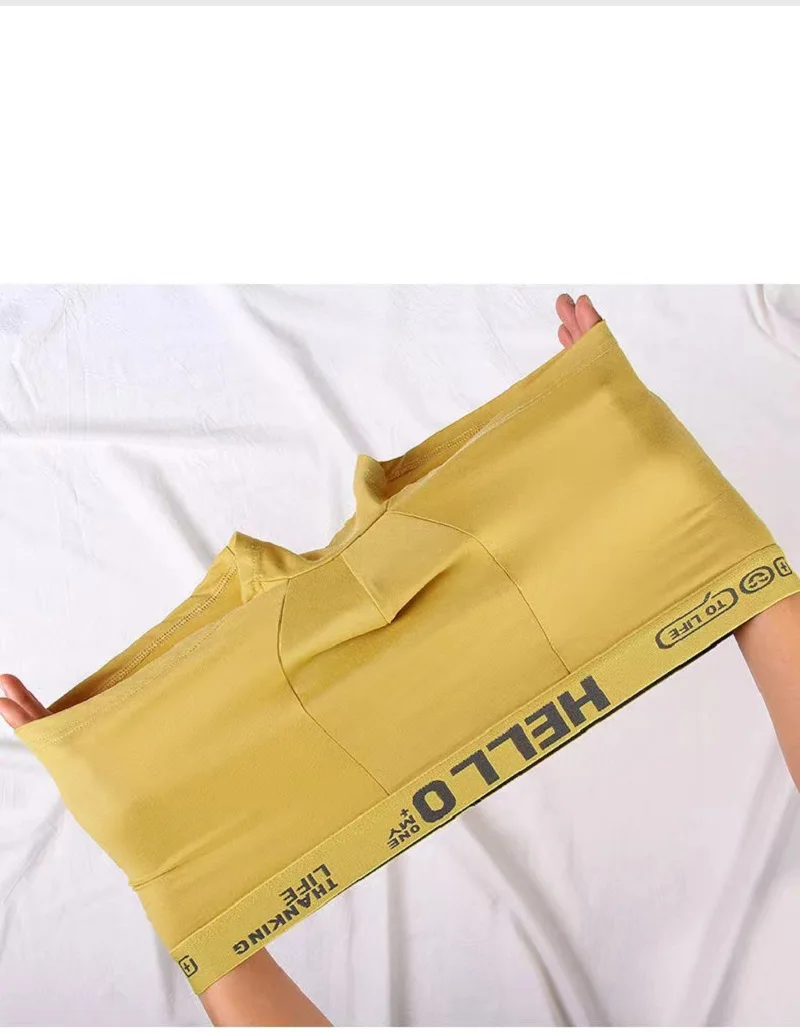 5pcs/Lot Men's Underwear Four Seasons Graphene Underpants Lycra Cotton Boxer Shorts Male High-quality Printed Shorts