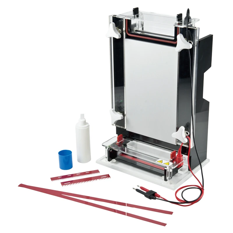 

Clinics Analyze Equipment Nucleic Acid Sequencing