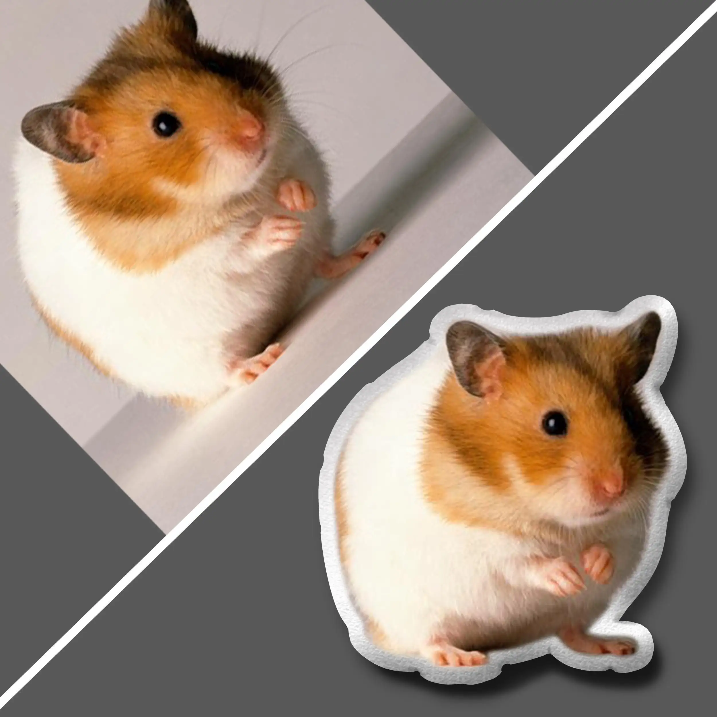 

Hamster | Pet Sympathy Gift | Hamster Toys | Pet Pillow | Custom Pet Pillow | Pet Pillow Custom | Custom Plushies